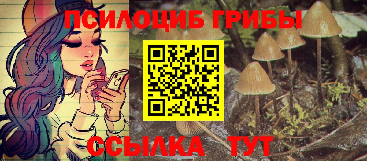 Галлюциногенные грибы прущие грибы  Вход с VPN  Сорочинск  Псилоцибиновые грибы GOLDEN TEACHER 