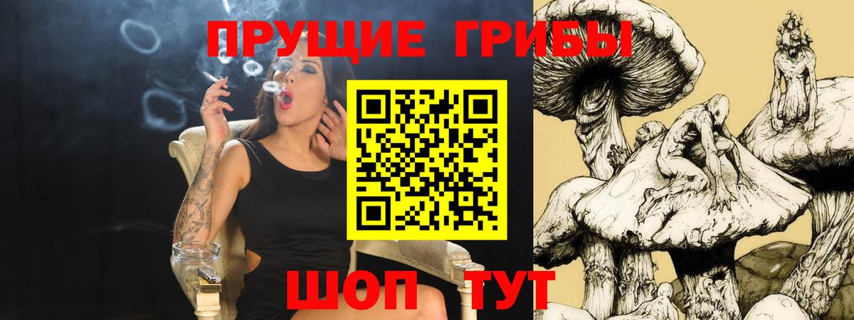 Каннабис Сорочинск