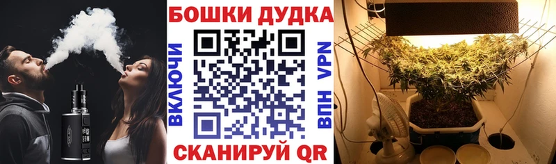 Шишки марихуана гибрид  Сорочинск 